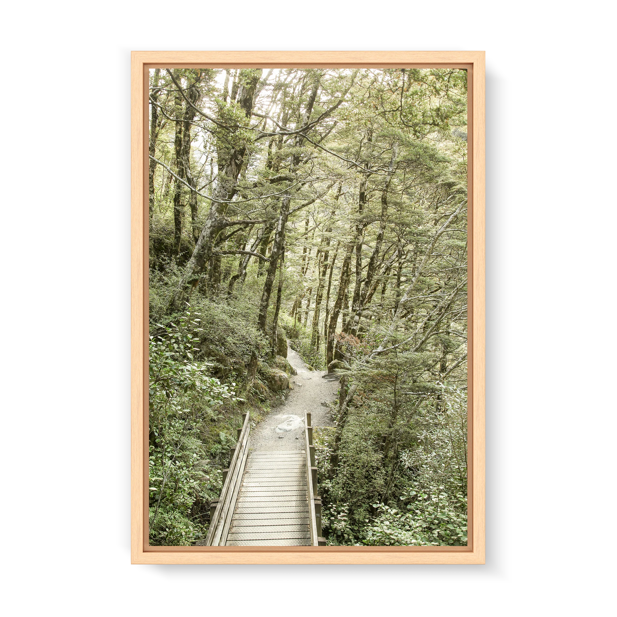 Forêt de conte de fées